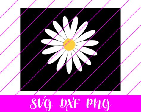 Daisy SVG - Free Daisy SVG Download - svg art