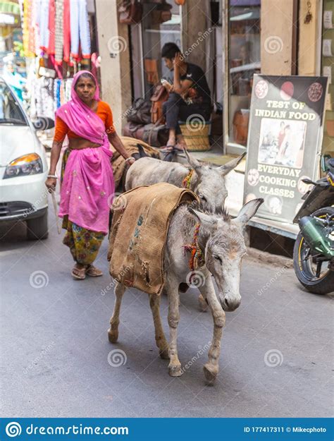 Donkeys On A Street In India Editorial Photo Image Of Person Donkey