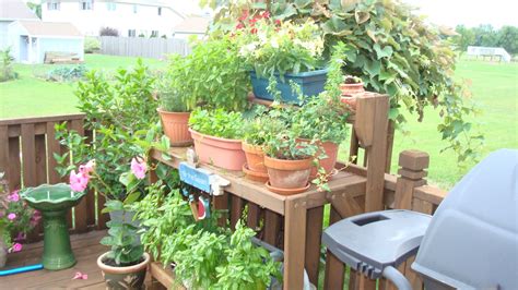 My Herb Garden Deck Landscaping Garden Inspiration