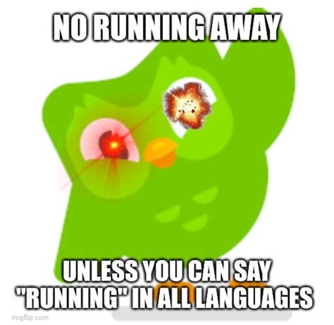 Insert Duolingo Memes In Comments Fandom