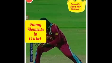 funny moments of cricket funny videos youtube