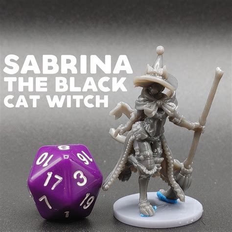 Sabrina The Black Cat Witch Catfolktabaxi Witch Printed Obsession Dandd