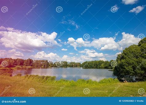 Lakeshore With Blue Sky Stock Photo Image Of Blue Background 125902082