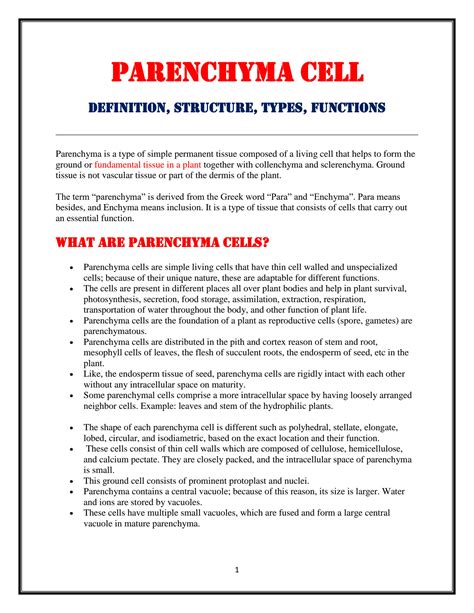 Solution Parenchyma Cell Definition Structure Types Functions Studypool