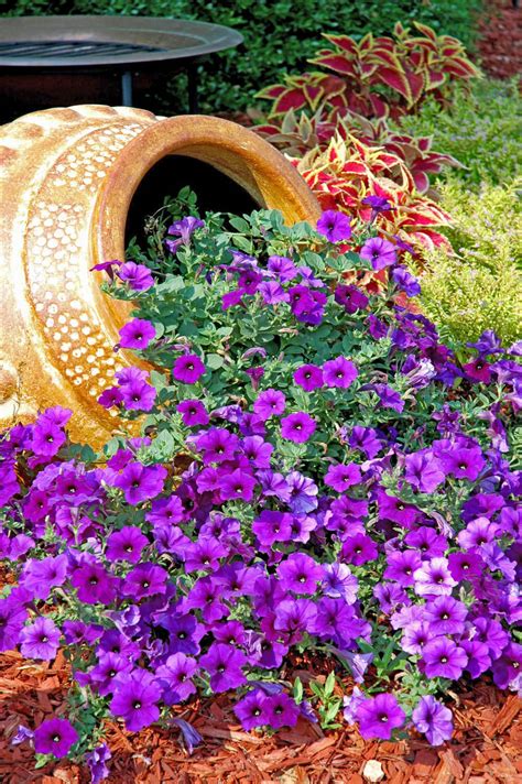 Look for a pot with drainage holes underneath to allow excess water to escape and avoid soggy roots. 45+ Best Cottage Style Garden Ideas and Designs for 2021