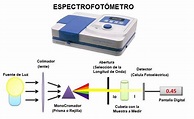 Guía completa sobre el funcionamiento del espectrofotómetro en formato ...