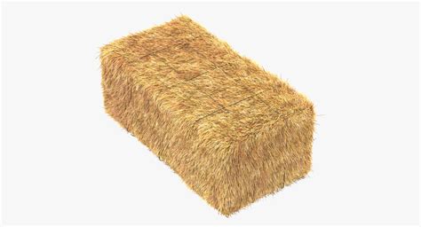 Hay Bale Square 3d Max