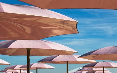 Each one works together so the umbrella not to be confused with your lunch, the ribs are the thin, flexible wires that run along the underside of the canopy. Beach Umbrella Pictures | Download Free Images on Unsplash