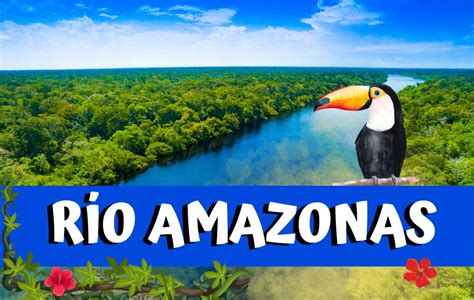 El Río Amazonas Donde Nace Por Qué Países Pasa Y Características