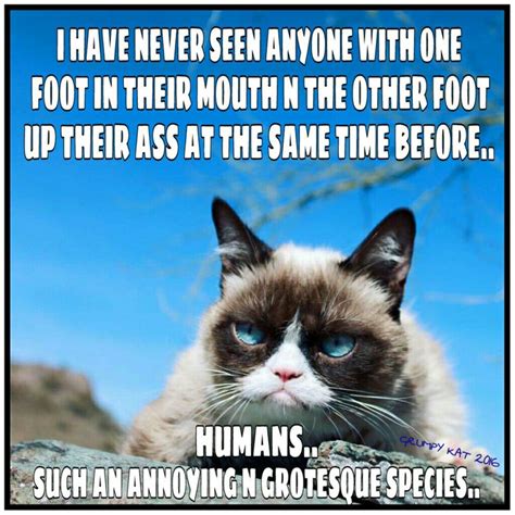Another Grumpy Cat Meme By The Other Grumpy Kat 2016 Grumpy Cat Humor Grumpy Cat Meme Cats