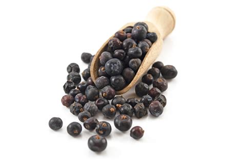 Juniper berries are officially the only spice to come. Juniper Berries 500g (Sussex Wholefoods) - HealthySupplies ...