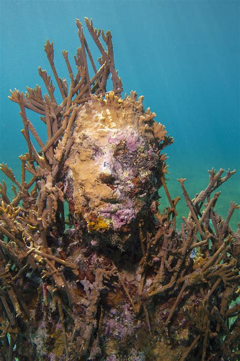 Did Damien Hirst Copy This Artists Underwater Sculptures Underwater