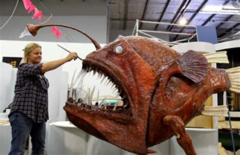 I Never Thought A Angler Fish Is That Big Fandom