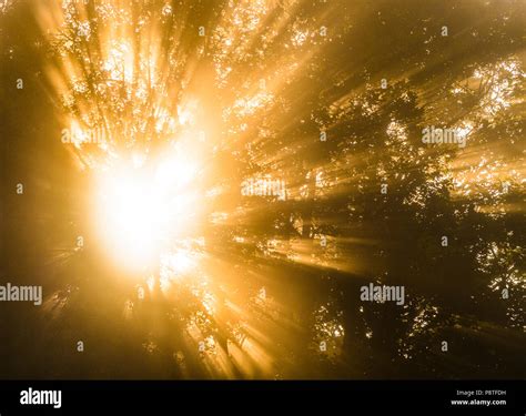 Sunrays Hi Res Stock Photography And Images Alamy