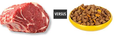 You'll also find both nutrient and guarantee analysis of these ingredients. Dog Food Comparison | K-9 Kraving Raw Dog Food
