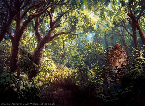 Forest Mtg Art From Jumpstart Set By Alayna Danner Art Of Magic The