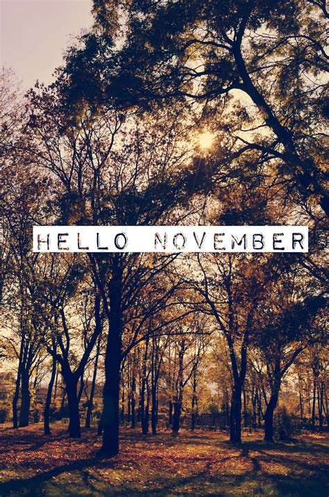 Hello November!! | Hello november, November wallpaper ...