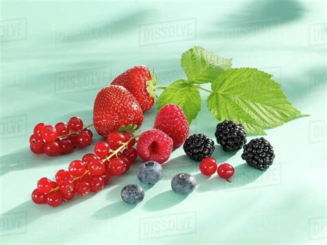 Assorted Berries With Raspberry Leaf Stock Photo Dissolve