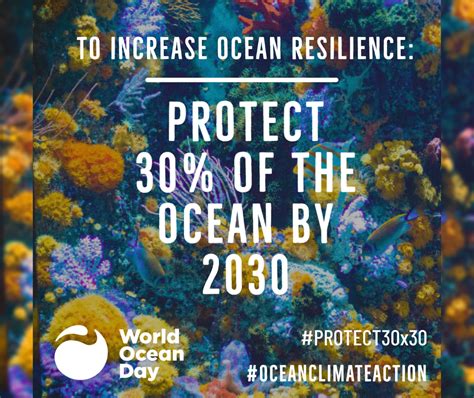 Celebrating World Oceans Day 2021 Conservation Volunteers Australia