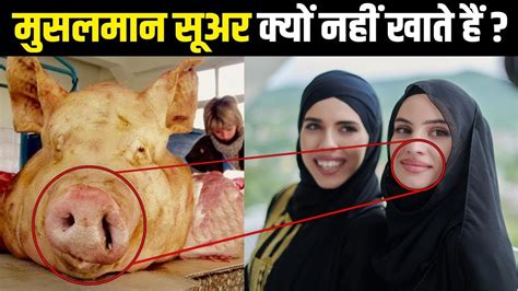 Why Muslim Don T Eat Pork