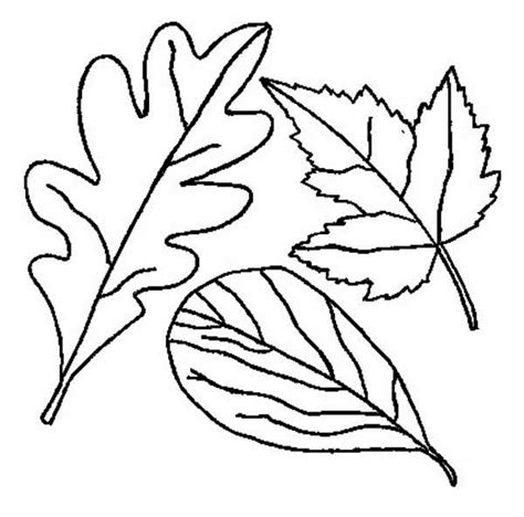 Drawing Of Autumn Leaf Coloring Page Kids Play Color
