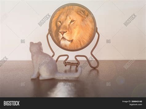 Cat Looking In Mirror Lion