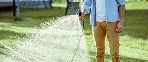The Ideal Watering Schedule For Newly Installed Sod Bloomn Gardens