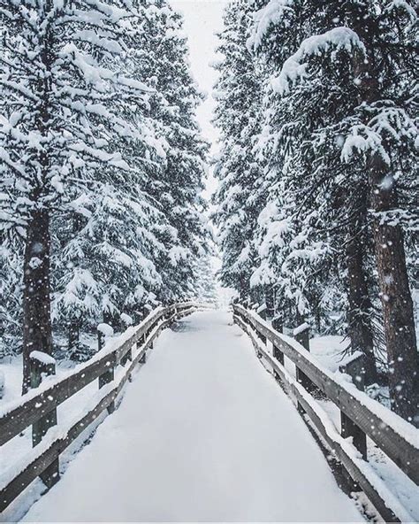 Pinterest çikolatadenizi Winter Wonderland Resimler Manzara