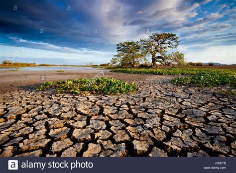 The dry season | meaning, pronunciation, translations and examples. Cracked soil in the dry season in the wetlands of Cienaga de las Stock Photo - Alamy