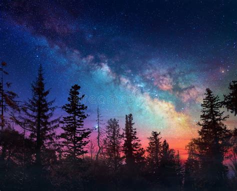 Milky Way In Night Forest Scene With Fog Stock Photo Image Of