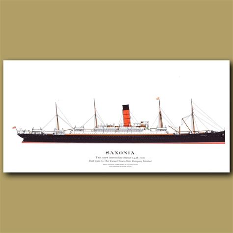Saxonia Ocean Liner Passenger Ship From 1900