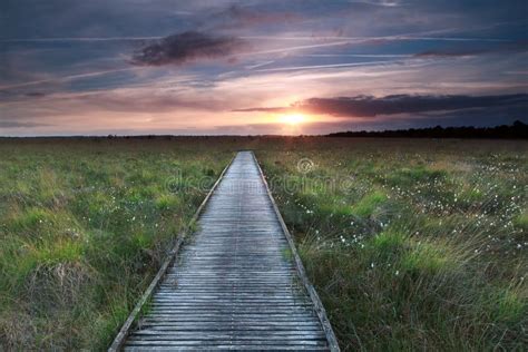 Wooden Path On Marsh And Sunset Stock Image Image Of Serene