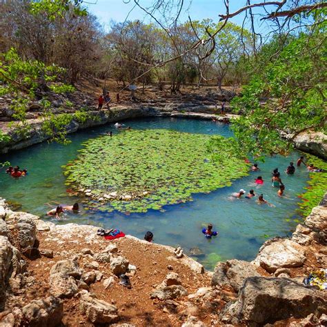 Cenote Xlacah En Dzibilchaltún Yucatán Explorando Cenotes