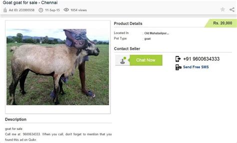 How much are goats to buy. Would You Believe You Can Buy Goats Online This Bakrid!
