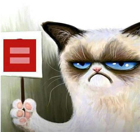 Grumpy Cat Political Cartoon Grumpy Cat Funny Cartoons Jokes Cat Memes