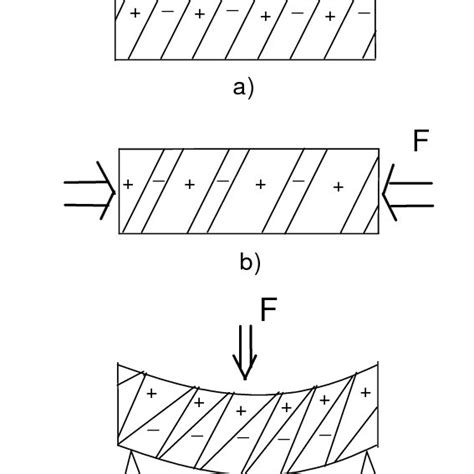 Schematic Representation Of Ferroelastic Domains And Their Distortion