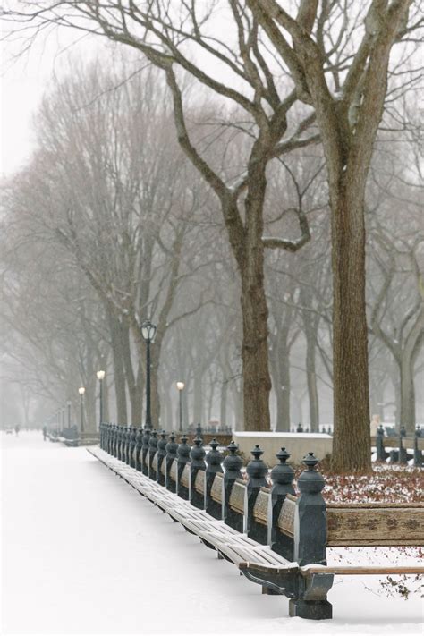 Photo Essays Snow In Central Park York Avenue Central Park Nyc
