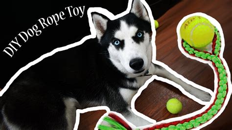 Diy Dog Rope Toy Youtube