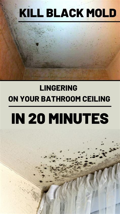 There is not a vent in… Kill Black Mold Lingering On Your Bathroom Ceiling In 20 ...