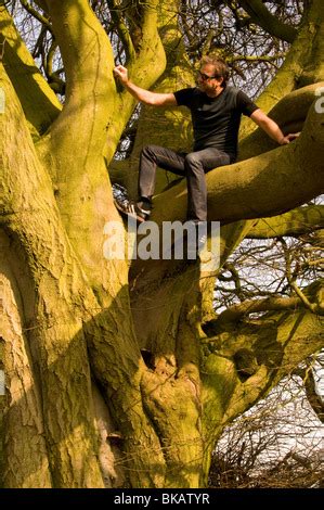 Nude Man Climbing On Tree Branches Stock Photo Alamy