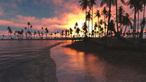 Nature Landscape Tropical Beach Sunset Palm Sea Clouds Sky Sand Silhouettes Hd Desktop Wallpaper