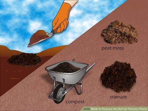 Here are some tips on how to prepare garden soil for tomatoes grow well in warm soil. How to Prepare the Soil for Tomato Plants: 15 Steps