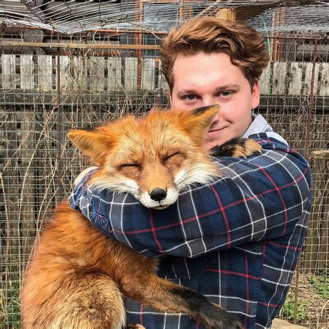 61 Pics Show How A Wild Animal Like A Fox Can Become A Loyal Friend