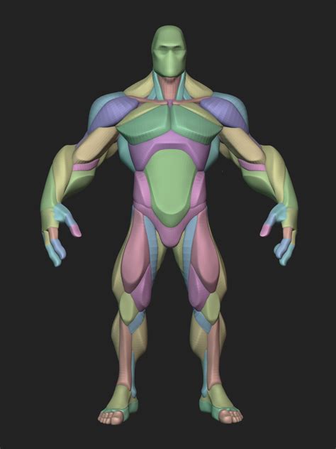 Artstation Stylized Hero Anatomy Blockout