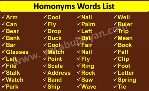 Homonyms Words List For Grade 2 And 3 With Picture Vocabularyan