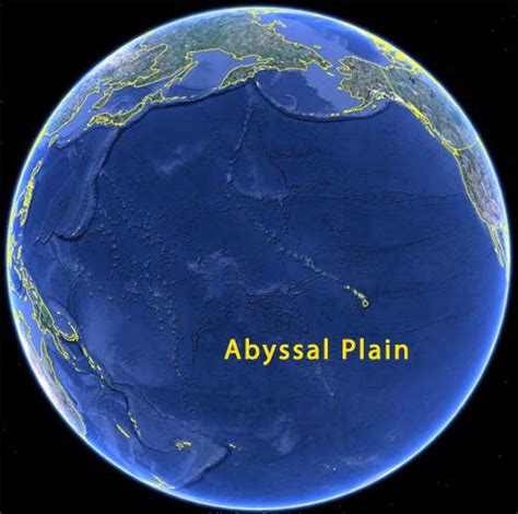 Abyssal Plain Alchetron The Free Social Encyclopedia