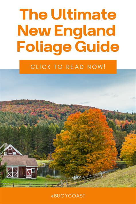 From Massachusetts To Maine Check Out Our New England Fall Foliage