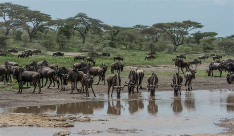 Tailor Made Holidays And Safaris In Africa Audley Travel Africa