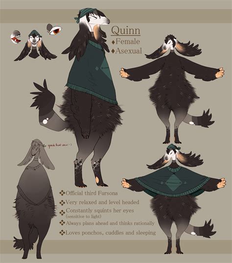 Quinn 3rd Fursona Refsheet By Mrgremble On Deviantart