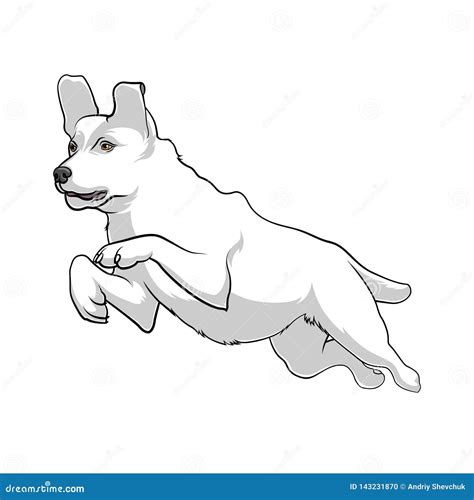 White Dog Is Jumping Active Dog Stock Vectors Stock Vector